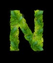Alphabet letters from leaves